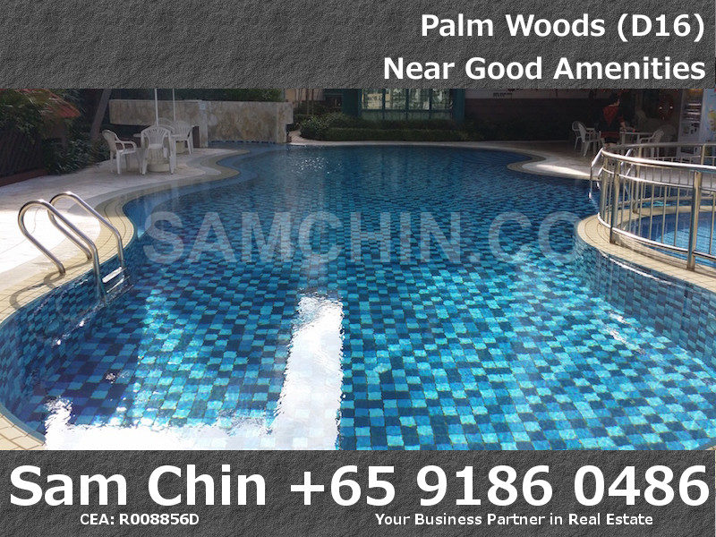 Palmwoods – Lap Pool – 3