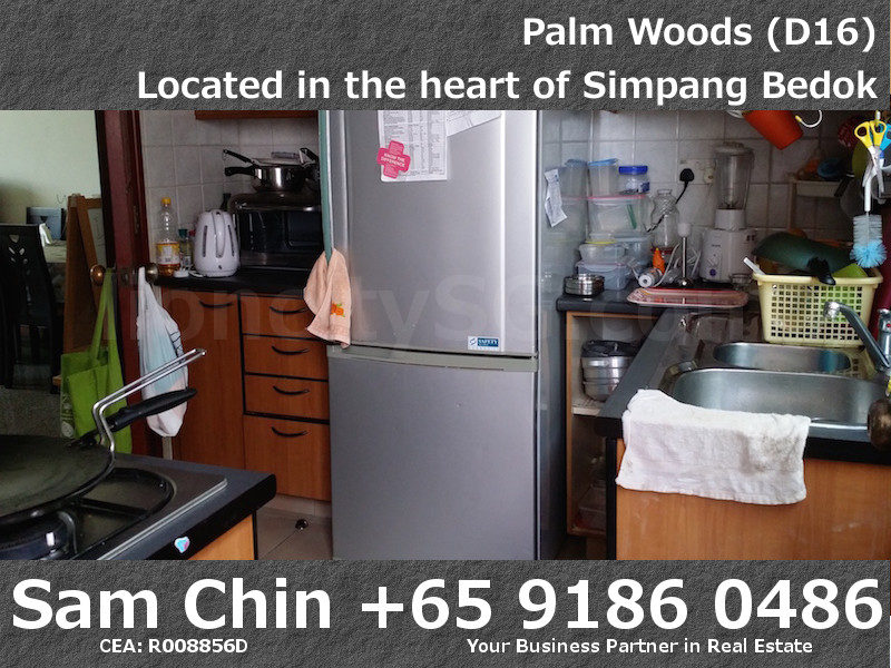 Palmwoods – S02 – Kitchen