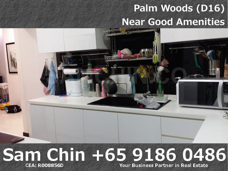 Palmwoods – S16 – Kitchen