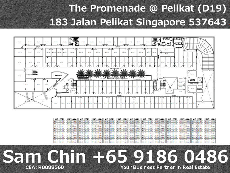 The Promenade at Pelikat –  Retail Shop For Sale – Site Map
